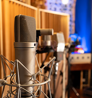 A collection of industry-standard condenser, tube, ribbon and dynamic microphones at Vancouver recording studio, Blue Light Studio.